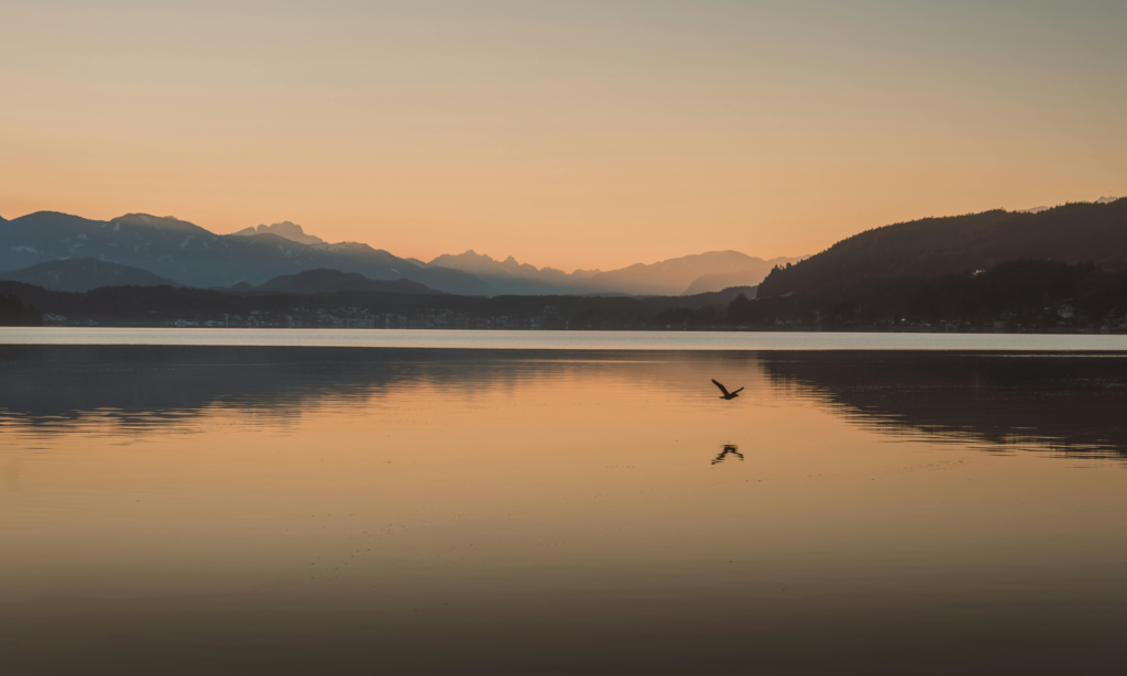 bergen met een vogel wat het verlies symboliseert