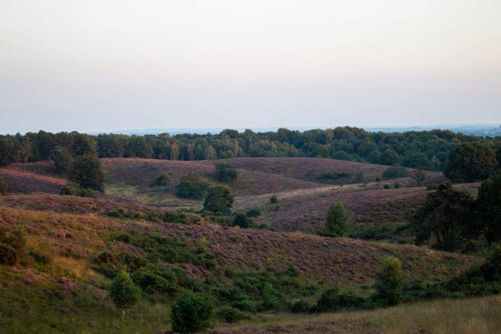 de veluwe